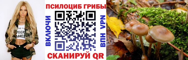 Псилоцибиновые грибы Psilocybine cubensis  гидра маркетплейс  Темрюк  наркота 